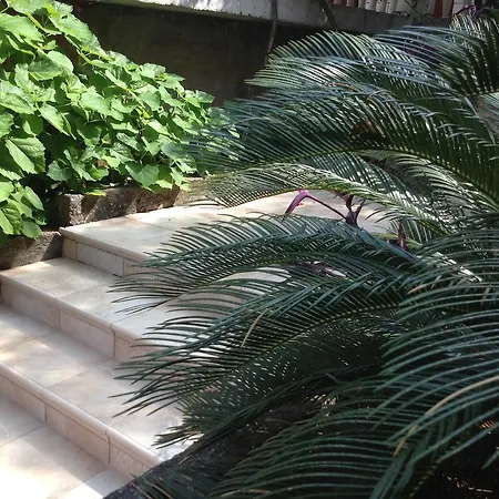 Appartement Boreta Ii Budva